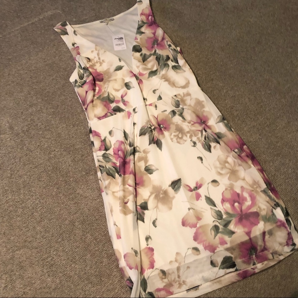 Gorgeous dress NWT